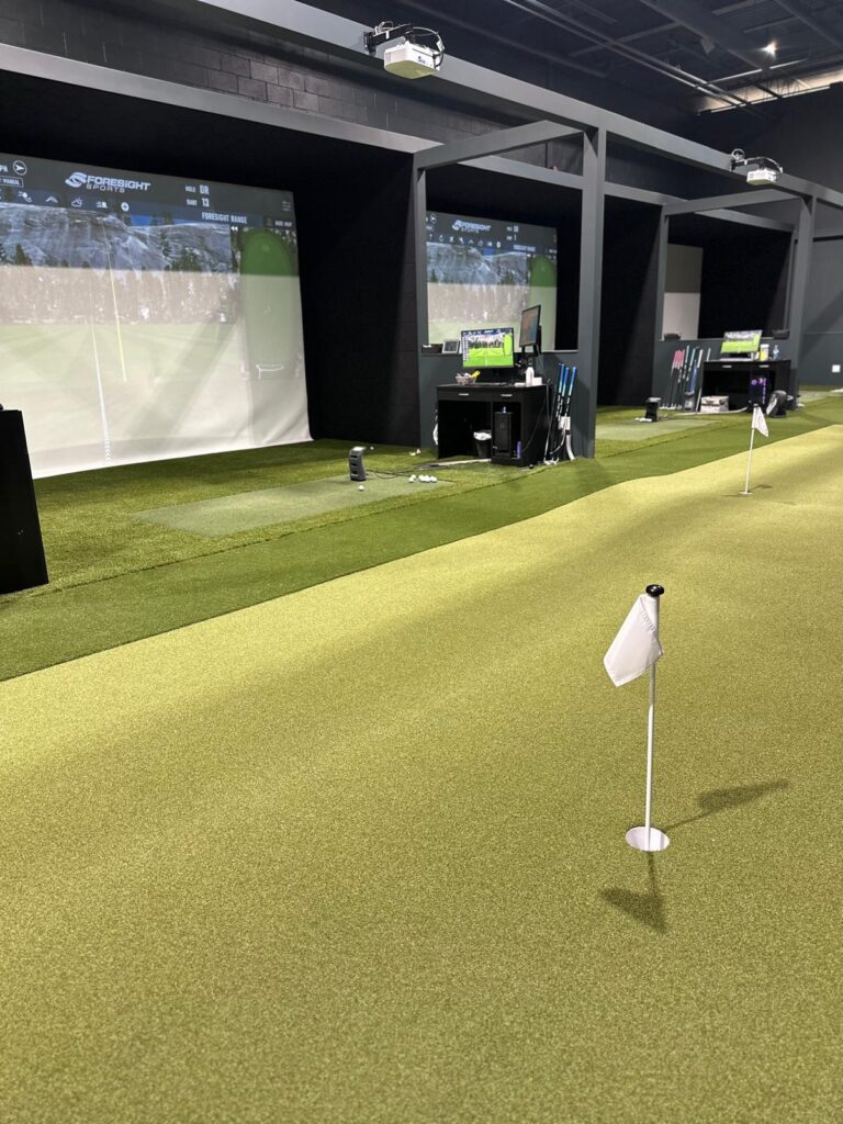 professionally installed indoor putting green